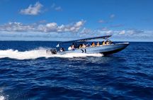 Cristal Speed boat, Snorkeling, Beach Tour & Lunch St Maarten
