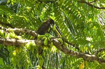 Praslin Private Tours Vallee de Mai Praslin Museum Anse Lazio
