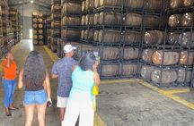 St. Lucia Chocolate Making and Rum Tour Experience