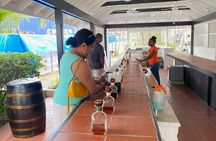 St. Lucia Chocolate Making and Rum Tour Experience