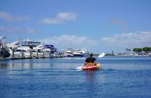Huntington Harbour Guided Kayak Tour