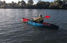 Guided Kayak Tour of Crystal Rivers Springs and Wildlife