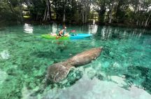 Crystal River Kayak Rental–Three Sisters Springs & Manatee Refuge