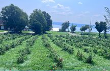 Quebec Half Day Tour by private car with Certified Guide