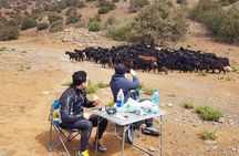 Dades Gorge Cycling Tour 