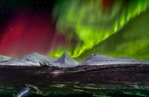 Northern Lights Big Bus Chase with Free Photos