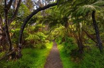 Expert Led Private Guided Tour Hawaii Volcanoes National Park