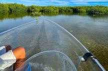 Glass Boat Mangrove Tours Grand Turk, Turks & Caicos Islands 