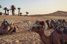 3 Days Group Tour from Marrakech to the Desert