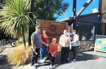 Christchurch City Top Spots Half Day Tour(Small Group Tour)