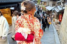 Kyoto and Nara Day Tour From Osaka with Deer Sightings