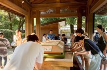 Tokyo Highlights Private Tour with Local Guide 