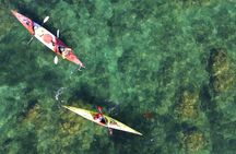 Tiritiri Matangi Sea Kayak Tour