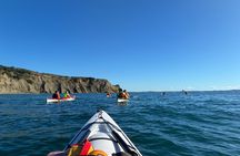 Tiritiri Matangi Sea Kayak Tour
