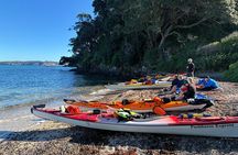 Tiritiri Matangi Sea Kayak Tour