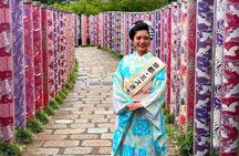 Osaka to Kyoto Arashiyama Bamboo Grove Small Group Tour