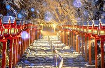 Osaka to Kyoto Arashiyama Bamboo Grove Small Group Tour