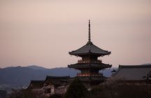 Kyoto Private Tour with Local Student Guide