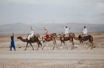 Agafay Desert: Dinner + Show with Quad Bike & Sunset Camel Ride