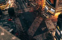 Shibuya Sky Sunset or night Entry w/ Guided Shibuya Walking Tour