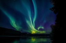 Small Group Northern Lights Hunt in Alta