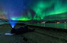  Tromsø: Classic arctic fjord cruise with lite lunch