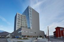Nuuk City Highlights by Car with Greenlandic Tasting