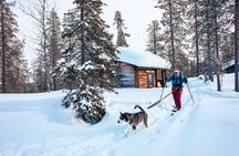 Explore Arctic Trails of Lapland, 1:1 with Your Own Alaskan Husky