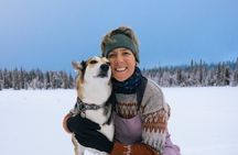 Explore Arctic Trails of Lapland, 1:1 with Your Own Alaskan Husky