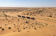 All-Inclusive Sherpa Camp in Dubai Desert Conservation Reserve