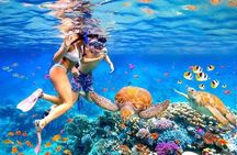 Private Blue Lagoon Snorkeling Lunch All Inclusive
