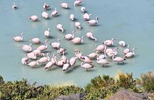 3 Days Uyuni Salt Flats and Andean Lagoons Tour