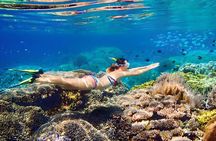 Bahamas Island Private Hopping Adventure 