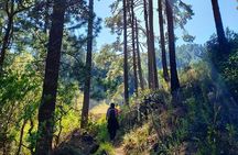 Sierra Norte Hike and Indigenous Village Full-Day Adventure