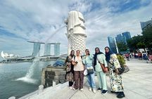 Singapore River Cruise with Spectra & Garden Rhapsody light shows