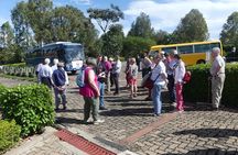 2 Day Pilgrimage to Our Lady of Kibeho 45th Anniversary Solemnity