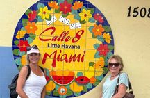Miami All-In-One: City Sightseeing & water taxi experience 