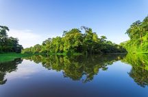 Boat Tour through Tortuguero National Park