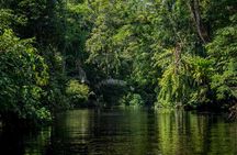 Boat Tour through Tortuguero National Park