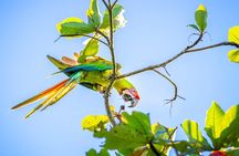 Kayak Tour in Tortuguero National Park