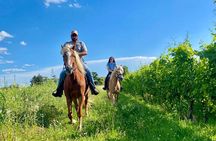 2 hours Horseback Ride in Lake Garda countryside