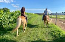 2 hours Horseback Ride in Lake Garda countryside
