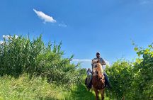 2 hours Horseback Ride in Lake Garda countryside