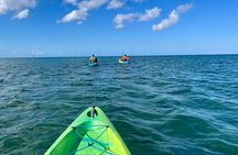 Aruba Kayak Fishing Tour