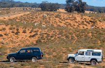 4x4 Safari and Discovery of the National Park DE Souss Massa