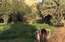 Tour to Taroudant Oasis Souks and Moroccan Culture