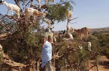 Dar Imoughlad Atlas Mountains Guided Hike with Traditional Food