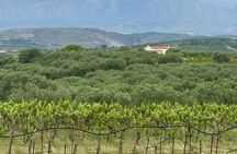 Cretan Senses: Melidoni Cave with Olive Oil, Honey & Wine Tasting