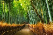 Kyoto Private Day Tour with English Speaking Driver