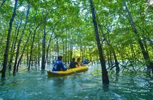 James Bond and Koh Panyee Village Sea Canoeing from Khao Lak 